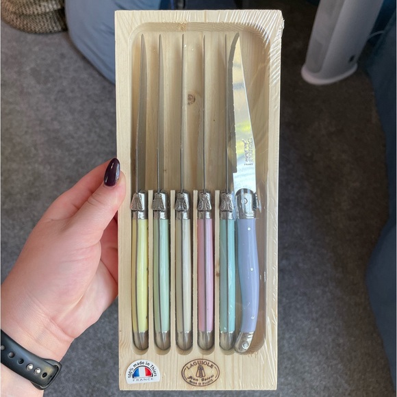 Jean Dubost Laguiole rare pastel French knife set